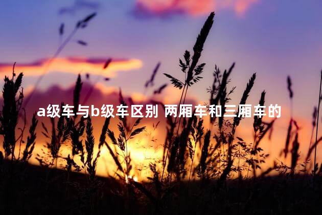 a级车与b级车区别 两厢车和三厢车的区别